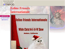 Tablet Screenshot of felinefriendsclub.com